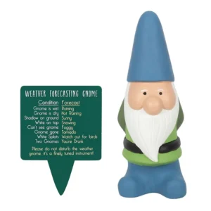 S03720136_0 Large Weather Forecasting Gnome
