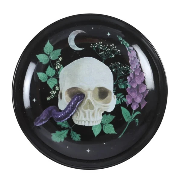 2-354.webp Venom & Vines Skull Trinket Dish
