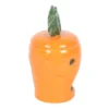 5-110.webp Carrot Shaped Oil Burner and Wax Warmer