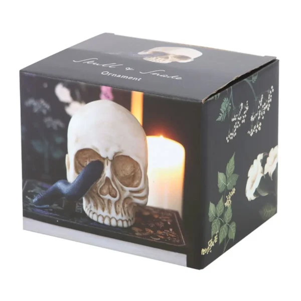 5-6.webp Skull Ornament with Snake
