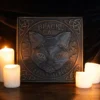 PA_35125.webp Black Cat Stepping Stone