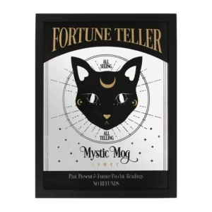 S03720272_0.webp Mystic Mog Mirrored Wall Hanging