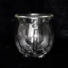 S03722666_12 Clear Double Walled Glass Cauldron Mug
