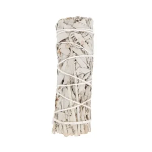S03723456_0 Smudge Stick