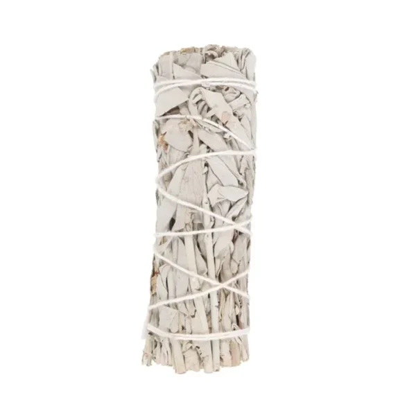 S03723456_0 Smudge Stick