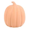 S03723583_13 22cm Terracotta Pumpkin Ornament
