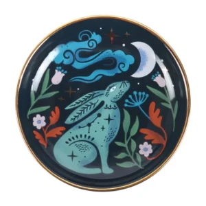 S03723895_0 Midnight Hare Trinket Dish