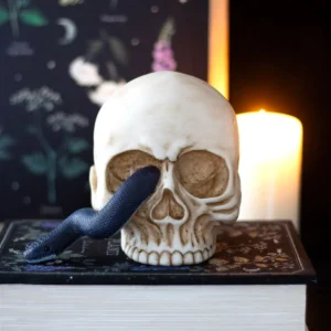 main-10.webp Skull Ornament with Snake
