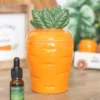 main-164.webp Carrot Shaped Oil Burner and Wax Warmer