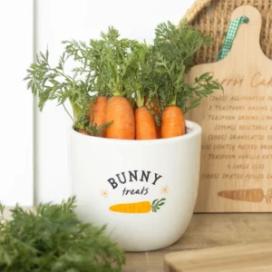 main-72.webp Bunny Treats Ceramic Pot