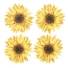 Sunflower Coaster Set 7 Sunflower Coaster Set