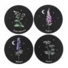 Poisonous Plants Coaster Set 7 Poisonous Plants Coaster Set