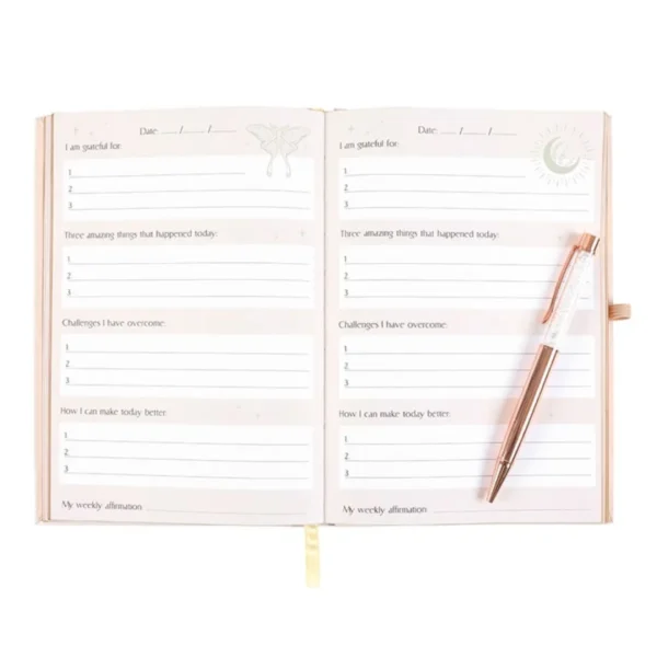 Luna Moth Daily Reflection Journal and Clear Quartz Crystal Pen 5 Luna Moth Daily Reflection Journal and Clear Quartz Crystal Pen