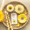 Sunflower Coaster Set 10 Sunflower Coaster Set