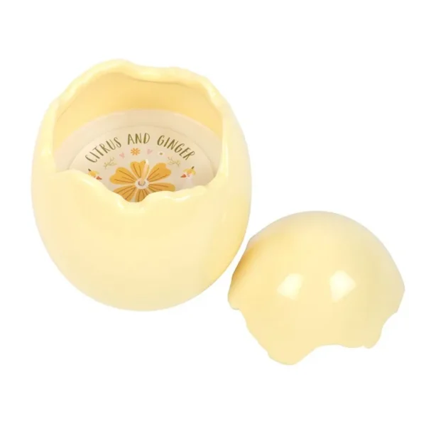 Citrus & Ginger Egg Shaped Candle