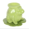 Luna Frog Shaped Oil Burner 8 Luna Frog Shaped Oil Burner