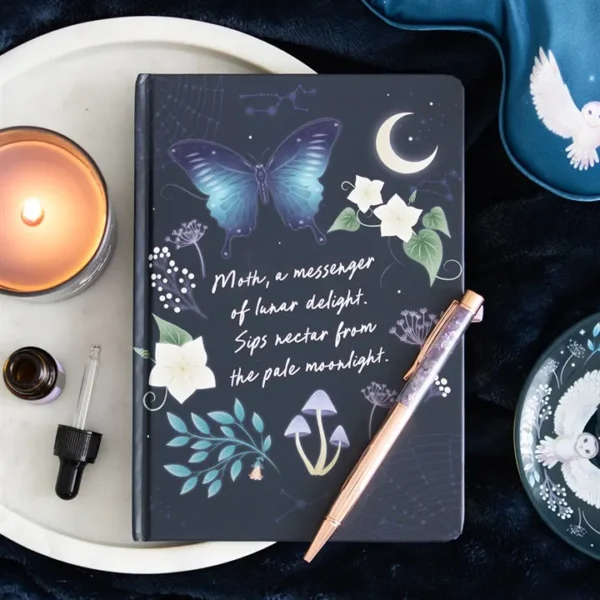 Midnight Moth Journal with Amethyst Pen 1 Midnight Moth Journal with Amethyst Pen