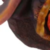 Fire Elemental Wizard Figurine by Anne Stokes 10 Fire Elemental Wizard Figurine by Anne Stokes