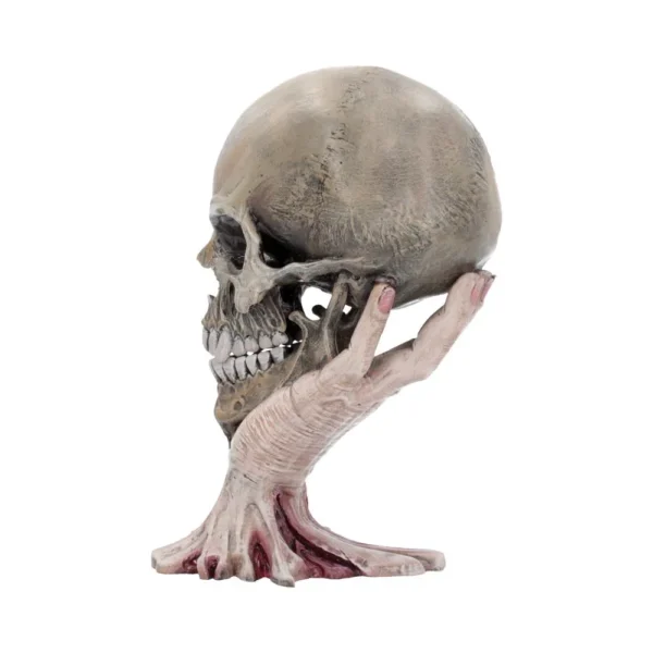 Skull and Skeletal Hand Sculpture Resin Decor - Flesh Root Base A skeletal hand holding an aged human skull emerging from a fleshy, root-like base.