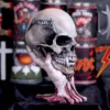 Metallica Skull Sculpture Resin Gray - Skeletal Hand Design A weathered skull held by a skeletal hand with a Metallica logo and metal band mugs behind.