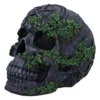 Stone Skull Sculpture Dark Gray - Ivy Vines and Mystic Carvings A dark stone skull with green ivy vines and carved mystical patterns on a white background.