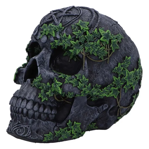 Stone Skull Sculpture Dark Gray - Ivy Vines and Mystic Carvings A dark stone skull with green ivy vines and carved mystical patterns on a white background.