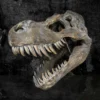 Fossilized Tyrannosaurus rex skull with open jaws showing sharp serrated teeth against a dark background.