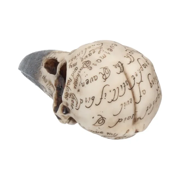 Raven Skull Sculpture Resin Ivory - Etched Cursive Script Ivory bird skull sculpture etched with vintage cursive script on surface, gothic art design.