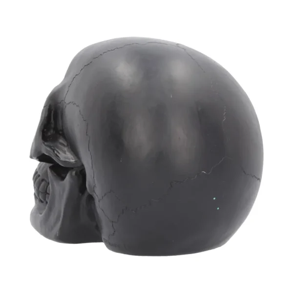 Stylized Skull Sculpture Matte Black - Smooth Engraved Details Matte black stylized skull sculpture with smooth surface and subtle engraved seam details.