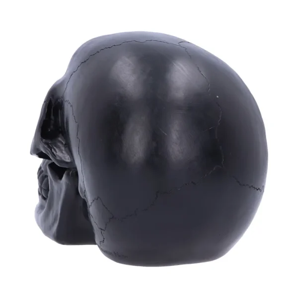 Black Skull Sculpture Matte Finish - Detailed Gothic Décor Black matte skull sculpture with detailed features and subtle light reflections on a dark background.
