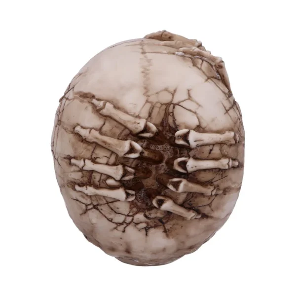 Bone Skull Sculpture Ivory Resin - Skeletal Hands Emerging A cracked skull sculpture with small skeletal hands emerging from its surface.