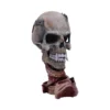 Metallica Skull Sculpture Resin Red Base - Gothic Art Design A detailed skull sculpture with metallic “Metallica” lettering and twisted red muscle-like base.