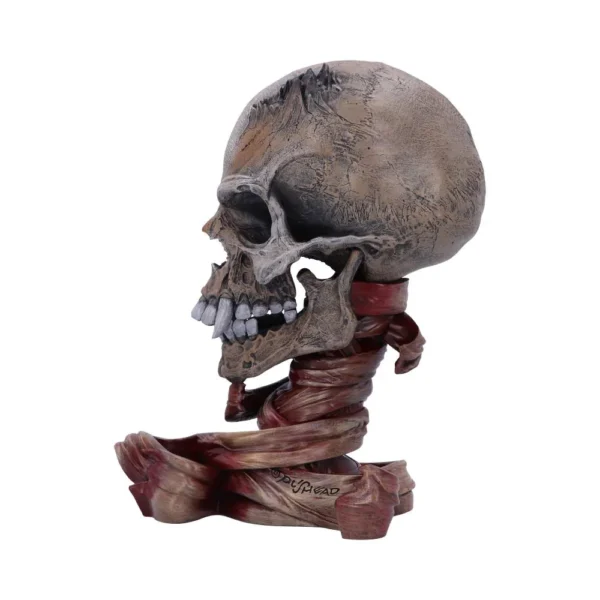 Human Skull Sculpture Resin Statue - Twisted Flesh Base Design A weathered human skull sculpture supported by twisted sinewy tendrils on a dark artistic base.