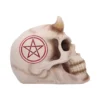 Horned Human Skull Resin Sculpture Beige - Red Pentagram Design A realistic horned human skull with a red pentagram painted on its left side.