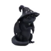 Black Dragon Figurine Resin Statue - Silver Star Wizard Hat A small black dragon figurine wearing a silver-starred wizard hat with folded wings and shiny eyes.