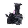 Black Cat Wizard Figurine Resin Sculpture - Spell Books Theme Two black magical cat figurines with wizard clothes and wings sitting on stacked spell books.