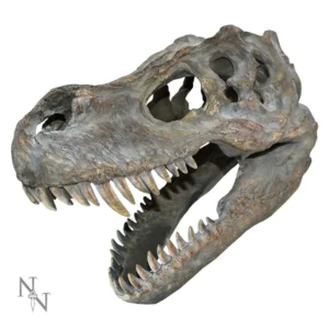 Tyrannosaurus Rex Skull Replica Fossil - Earthy Toned Detail A realistic Tyrannosaurus rex skull replica showing detailed teeth and fossilized bone texture.