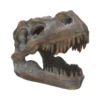 Fossilized Tyrannosaurus rex skull with open jaws and sharp teeth on display.
