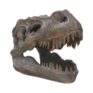 Tyrannosaurus Rex Fossil Skull Brown - Open Jaws and Teeth Fossilized Tyrannosaurus rex skull with open jaws and sharp teeth on display.