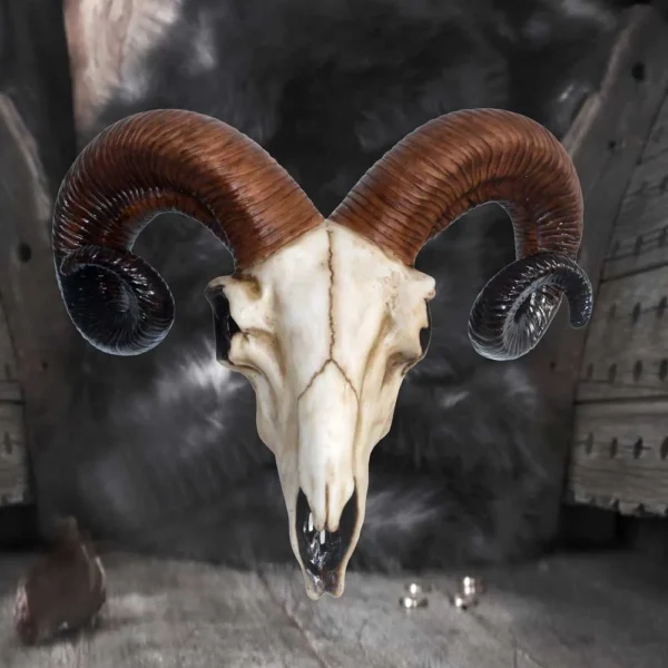 A realistic ram skull with spiraled horns displayed against a dark textured fur and wooden background.