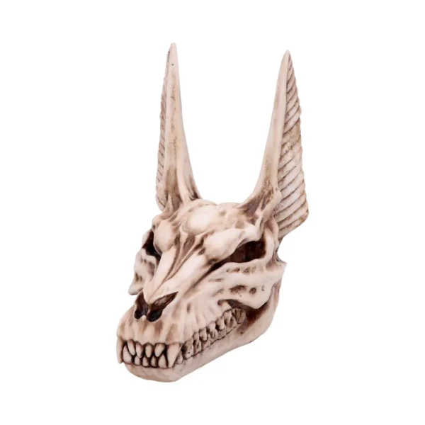 Fantasy Demon Skull Sculpture Resin Bone Texture - Tall Ears A sculpted skull with tall pointed ears and human-like teeth in aged bone texture.
