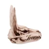 Fantasy Canine Skull Sculpture Resin Bone - Large Pointed Ears Fantasy canine skull sculpture with large pointed ears, sharp teeth, and aged bone texture.