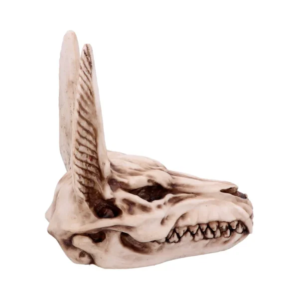 Fantasy Canine Skull Sculpture Resin Bone - Large Pointed Ears Fantasy canine skull sculpture with large pointed ears, sharp teeth, and aged bone texture.