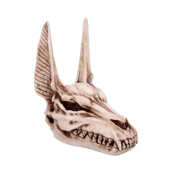 Canine Demon Skull Sculpture Resin Beige - Long Pointed Ears A sculpted canine-demon skull with long pointed ears and detailed aged bone texture.