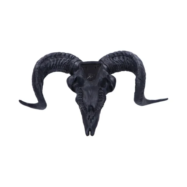 Ram Skull Wall Decor Sculpture Metal Mount - Matte Black Finish Black decorative ram skull with curled horns and gothic wall-mount design.