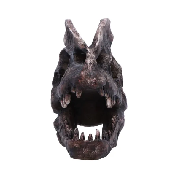 Tyrannosaurus Rex Skull Fossil Replica Dark Brown - Sharp Teeth Front view of a dark brown Tyrannosaurus rex skull showing sharp teeth and hollow eye sockets.