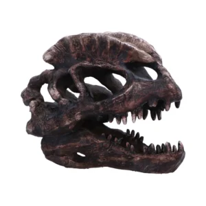Dinosaur Skull Model Resin Brown - Sharp Teeth Fossil Detail Realistic brown resin dinosaur skull model with sharp teeth and detailed fossil-like texture.