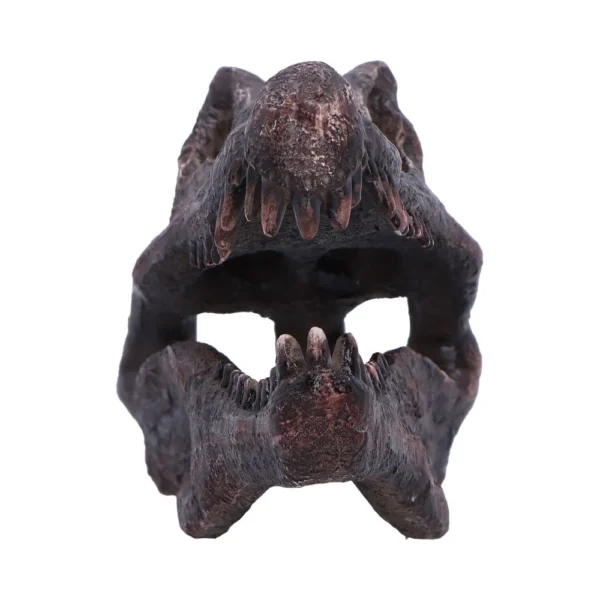 Dinosaur Skull Sculpture Resin Dark Brown With Sharp Teeth Close-up of a dark brown sculpted dinosaur skull with sharp teeth and weathered bone texture.