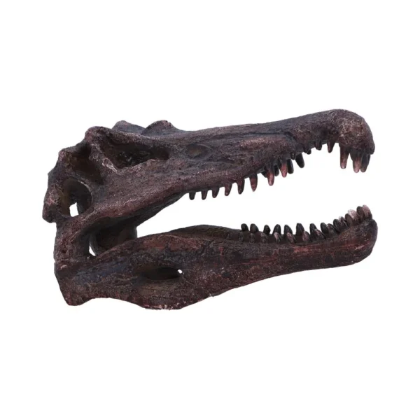 Tyrannosaurus Rex Skull Model Resin Sculpture - Brown Red Fossil A realistic brown-red dinosaur skull model with open jaws and sharp fossil-like teeth.