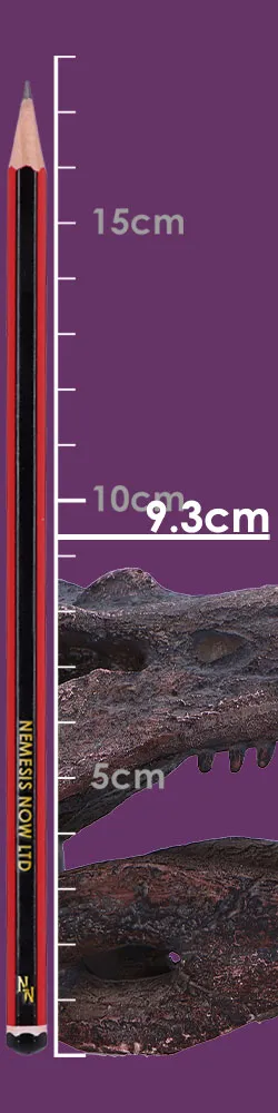 Red and Black Pencil With Brown Dragon Skull Resin Model Scale A red and black pencil beside a small brown dragon skull with a purple background and scale.